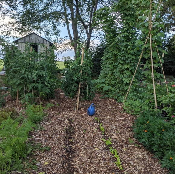 Posh Ambassador...Robyn💗 - Picture 8 of 10